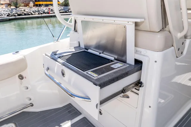 Electric BBQ — Boston Whaler 325 Conquest reference photograph